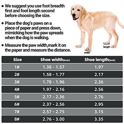 Pet Shoes, Breathable Athletic Shoes