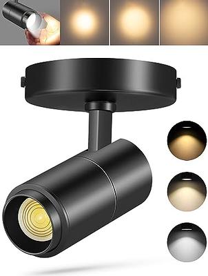 VANoopee 3-Color Dimmable LED Ceiling Spotlight Flush Mount Adjustable  Spotlight Directional Spot Lights Indoor Bright Accent Fixture for Living  Room Bedroom - CRI90 36° Flicker Free 10W 1000lm Black 