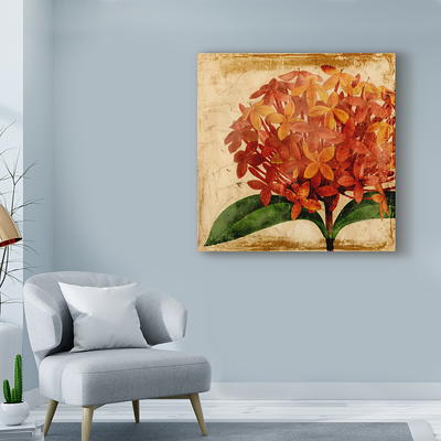 Trademark Fine Art 'Coral Specimen IV' Canvas Art by Vision Studio