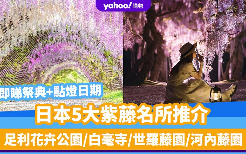 日本旅遊｜5大紫藤名所推介！足利花卉公園/白毫寺/世羅藤園/河內藤園｜附祭典+點燈日期