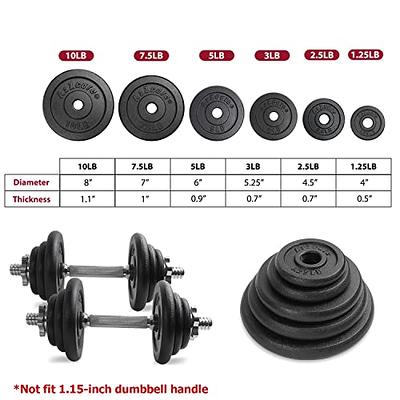 Yes4All 1 inch Cast Iron Weight Plates for Dumbbells, Standard