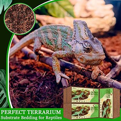 Natural Substrate for Burrowing Reptiles