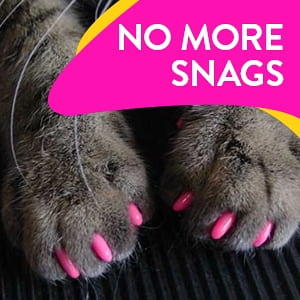  Kitty Caps Nail Caps for Cats, Safe, Stylish & Humane  Alternative to Declawing