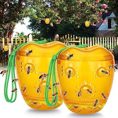 T3-R ​​Sticky Traps for Bugs 75 Pack Small - Mouse and Insect Glue