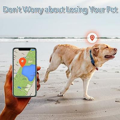 For Apple AirTag Pet Collar Silicone Protective Dog Cat Anti-Lost AirTag  Tracker