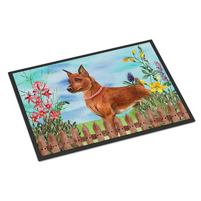 JIEREYAN Funny Doormat, Door Mat Outdoor Entrance Funny Welcome