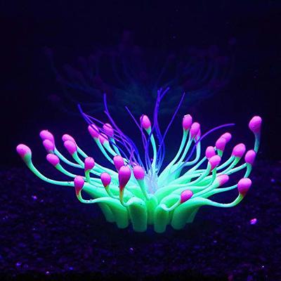 Kaiyuan Dynasty 100pc Fish Tank Rocks Aquarium Rocks Glow in The