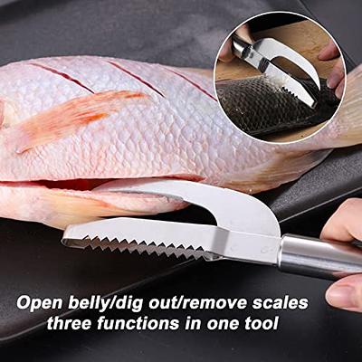 2 pcs Stainless Steel 3 in 1 Fish Maw Knife, 9 in Fish Scale Knife Cut  Scrape Dig 3-in-1,Multifunction Stainless Steel Fish Scaler,Easily Remove Fish  Scales for Home Kitchen. - Yahoo Shopping