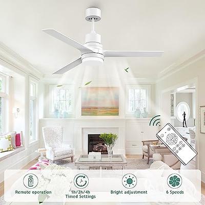 Biukis Ceiling Fans with Lights,Indoor and Outdoor White Ceiling