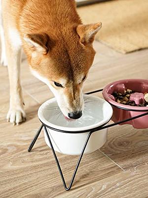 Yoken Elevated Dog Bowls, Prevention of Vertebrae Disease Super Non-Slip Dog Bowl with Stainless Steel Bowl, High Capacity Dog Food Bowls, Colorful