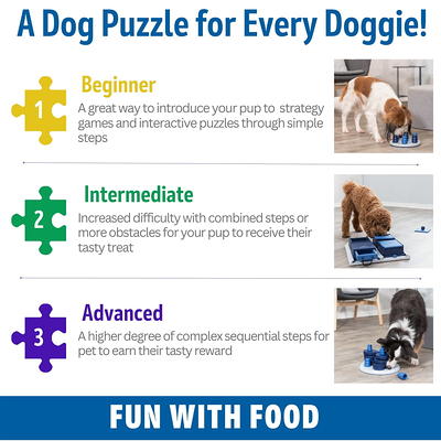 TRIXIE Dog Activity Move2Win Strategy Game, Level 3, Advanced Dog