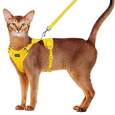 Mesh Small Cat Harness and Leash Set Adjustable Vest Antiescape Proof for  Pet Kitten Easy Control Reflective Puppy Dogs Harness