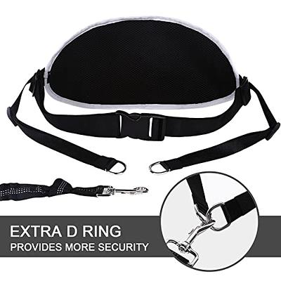 Hands Free Leash with Extra Security