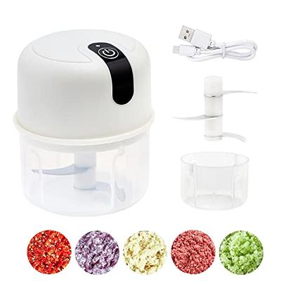 Mini Electric Vegetable Chopper Garlic Masher Crusher USB 250ML