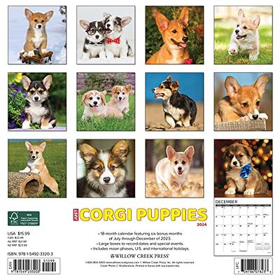 Just Border Collie Puppies 2023 Wall by Willow Creek Press