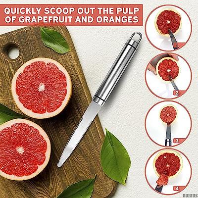 Treasure Gurus Stainless Steel Curved Grapefruit Knife Citrus Fruit Cutting Tool Serrated Kitchen Utensil