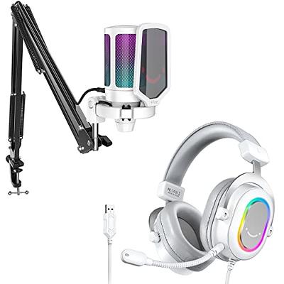 FIFINE USB Gaming Streaming Recording PC Microphone Kit, RGB Condenser  Computer Mic Bundle for Podcasts, Audio, Vocal, Video on  Mac/Desktop/Laptop
