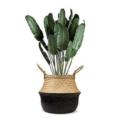 Plant Basket Small Seagrass Planter Baskets for Indoors, Woven Rattan Planters for Tall Indoor Plants with Handles, Wicker Boho Plant Pots