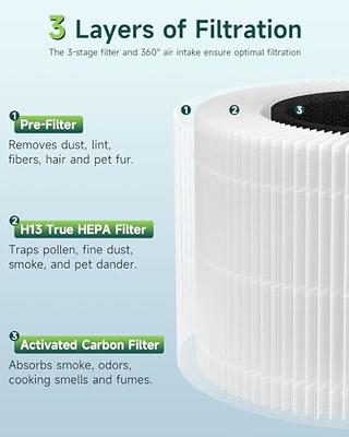 Core 300 Filter Replacement Compatible with LEVOIT Air Pur-ifier Core 300  Core 300S,3-in-1 True HEPA Filter Activated Carbon Filter Part # Core 300-RF,2  Pack,Green - Yahoo Shopping