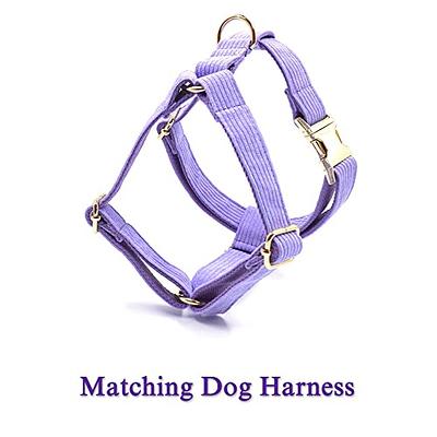 Metal Harness - personalized