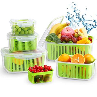 Bluapple Produce Saver 2-Pack - Keeps Fruits & Vegetables Fresh Longer in  Refrigerator Crisper, Shelves, and Fruit Bowls, Lasts up to 3 Months