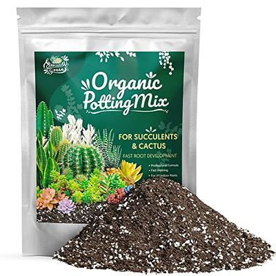 Sprout N Green Organic Potting Mix for Succulents Cactus, 4 Quarts