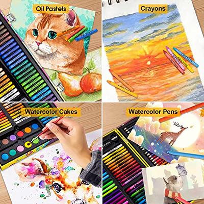 Art Supplies 150 Piece Drawing Art Kit for Kids Adults Art Set, Coloring  Creative Portable Art Kit with Colored Pencils, Oil Pastels, Watercolor  Cakes