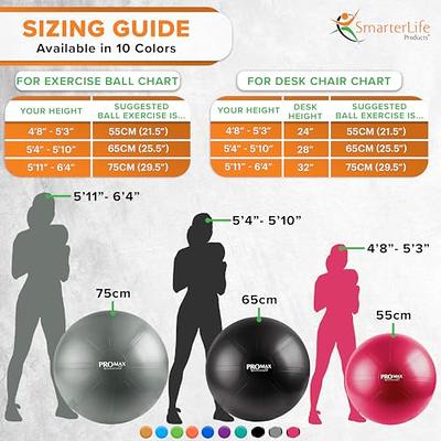  Exercise Ball, Yoga Ball Balance Pilates Anti-Burst