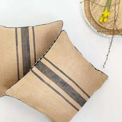 Neutral Stripe Linen Throw with Pillow Insert