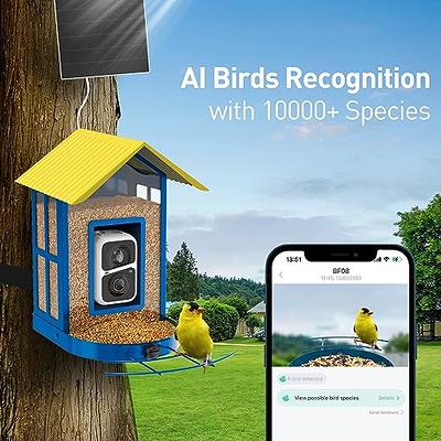  【Free AI】 Smart Bird Feeder with Camera,Bird House