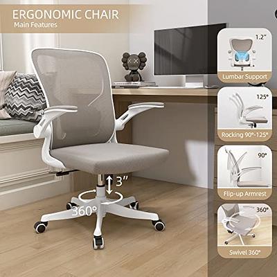 Winrise Office Chair Desk Chair, Ergonomic Mesh Computer Chair Home Office  Desk Chairs, Swivel Task Chair Mid Back Breathable Rolling Chair with  Adjustable Lumbar Support Flip Up Armrest (Black) 