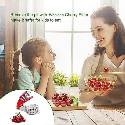 Grape Cutter Grape Slicer for Toddlers Baby, Cherry Pitter Tool