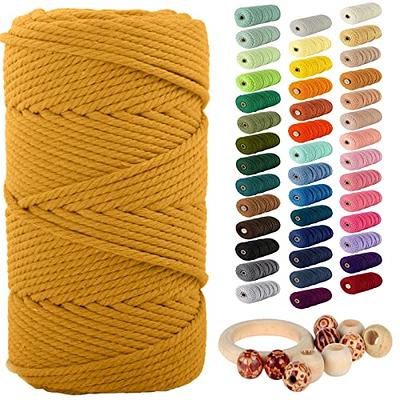 LEREATI Polyester Macrame Cord 3mm x 185yards, Braided Macrame Cord  Polypropylene Silk Cord, Crochet Bag Polyester Yarn for Crocheting, Bag,  Wall