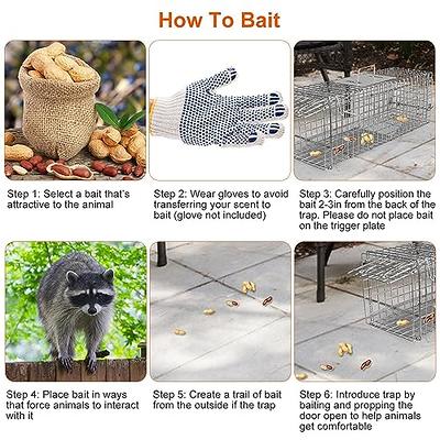 Moclever Humane Rat Trap Cage Dual Door Live Rat Traps Humane Live Rodent  Dense Mesh Trap Cage Zinc Electroplating Mice Mouse Control Bait Catch with