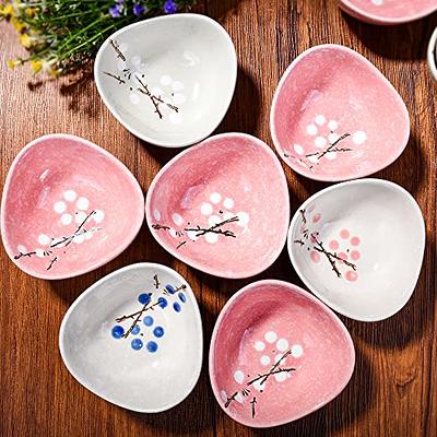 Japanese Sushi Set Porcelain Sushi Plates Soy Sauce Dipping Bowls