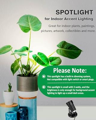 Alivation Wireless LED Picture Lights Battery Operated Spot Lights Indoor,  Puck Lights with Remote, …See more Alivation Wireless LED Picture Lights
