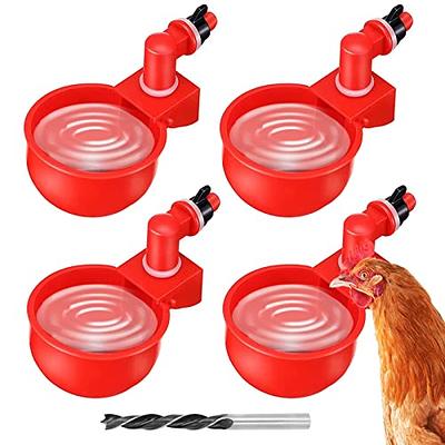 Chicken Waterer Automatic Chick Water Feeder Cups 4 Packs Chicken Coop  Accessories for Bird Quail Duck Goose Poultry Watering, Red - Yahoo Shopping