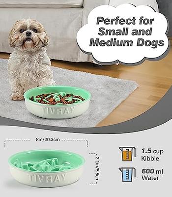 Slow Feeder Small Dog Bowl Non-Slip Puzzle Dog Bowl Anti-Choking for S & M  Dogs