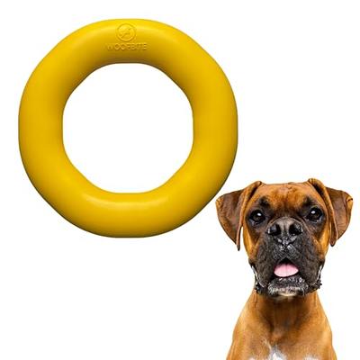 New Active Gliding Disc, Active Gliding Disc for Dogs with Cool Lighting  Effects, Interactive Gliding Disc Dog Toy – K.C. Corner Shop