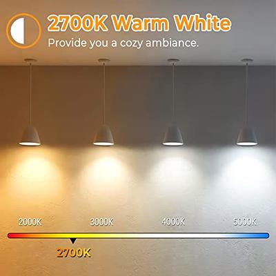 Brightever Vintage LED Edison Bulbs 60W Equivalent, 6W ST58 Warm White  2700K Antique LED Filament Bulbs with E26 Medium Base, Clear Glass Style  for Table Lamps, Wall Sconces, No-dimmable 8 Packs 