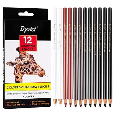 Heshengping, 41pcs Sketching Pencil Set Drawing Sketch Kit Graphite Pencils  Charcoal Pencils Watercolor Pencils Blending Stumps 50page sketchbook