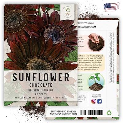 Organic Mammoth Grey Stripe Sunflower Seeds