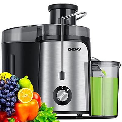 ORFELD Masticating Juicer for Fruits and Vegetables, Powerful Small Juicer  Extractor Machine Compact