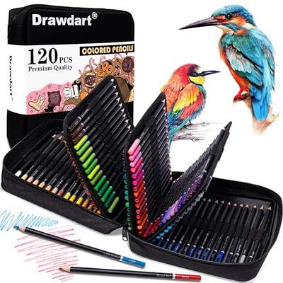  ArtSkills Artist Colored Pencils Set, Colored Pencils for  Adult Coloring Books, Drawing, Sketching, 100-Count : Arts, Crafts & Sewing