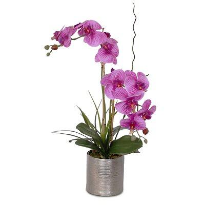 Orchid Floral Arrangement in Planter Primrue Flowers/Leaves Color: Purple