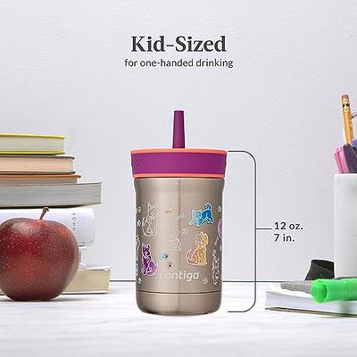 Contigo Kids Stainless Steel Water Bottle with Straw, 13 oz - Taro/Juniper