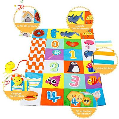 beiens Baby Toys 0-6 Months Tummy Time Crinkle Toys with Mirror Black and  White High Contrast Sensory Toys for 0-6-12-18 Months Toddler Newborn Boy  Girl Gift Set Play Mats-4 in 1