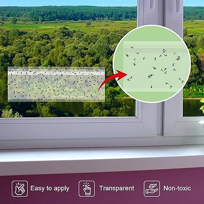 Window Fly Traps Indoor Clear 50 Pack, Sticky Indoor House Fly Trap Catcher  Killer Paper for Home Non-Toxic and Pesticide-Free