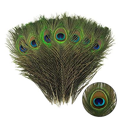 THARAHT 24pcs Peacock Feather Natural in Bulk 10-12 inch 25-30cm for Vase  Craft Vase Wedding Home Party Christmas Day Decoration Peacock Feathers
