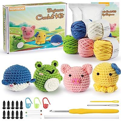 kdafio Crochet Kit for Beginners, Hanging Potted Plants Crochet Starter Kit  with Step-by-Step Instructions and Video Tutorials Complete Crochet Kit